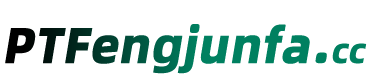 Putian fengjunfa e-commerce Co., Ltd